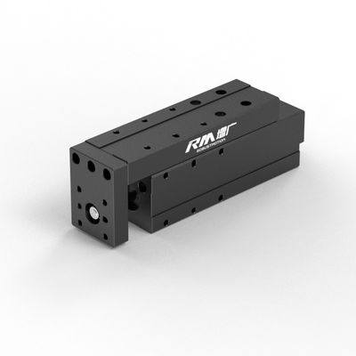 RM-NPLA Electric Linear Actuator, Micro Platform-type Linear Actuator ความเร็วสูงและคงที่